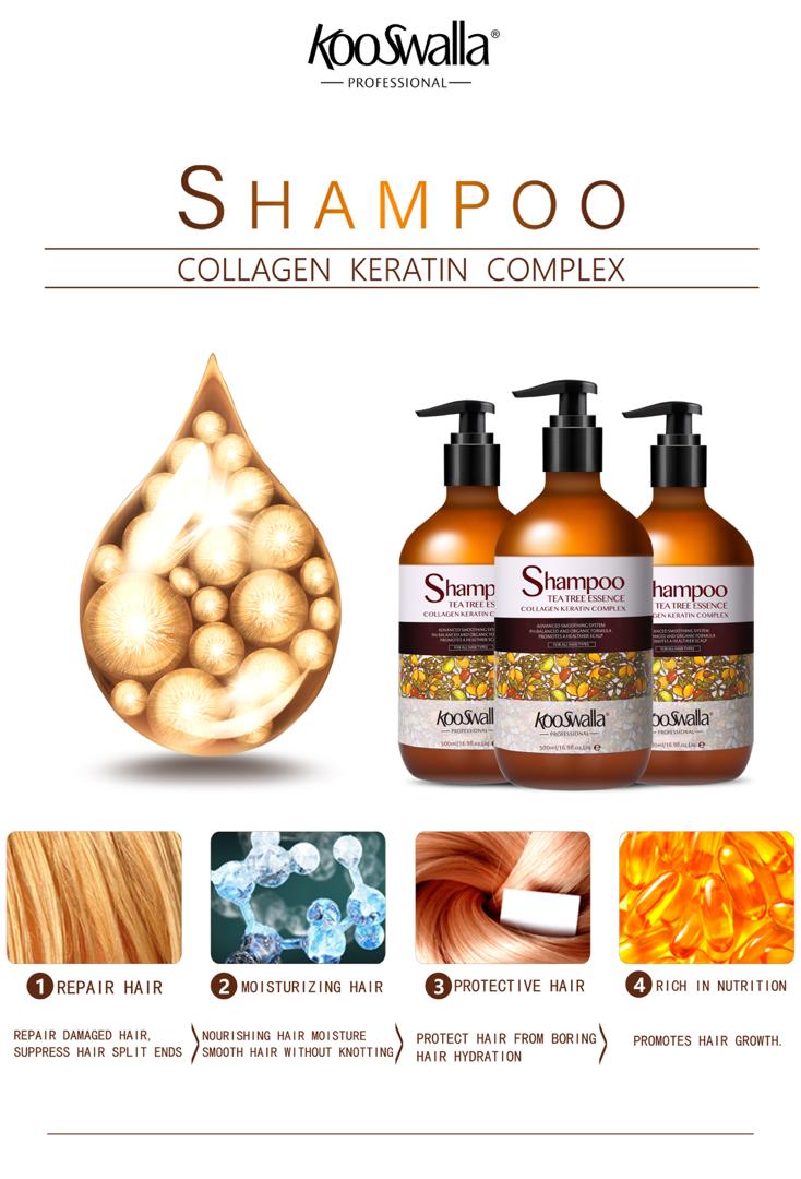 Kooswalla hair care packs offering great value and nourishment — professional salon-quality products that help repair and moisturize hair while saving money, available for wholesale and salon use.